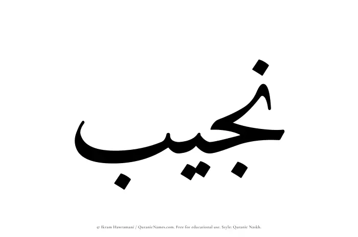The name Najib written in Quranic naskh