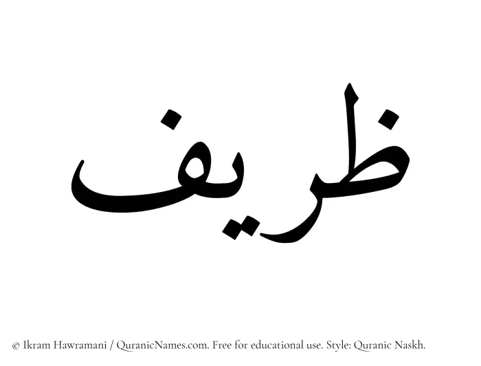 The name Zareef written in Quranic naskh