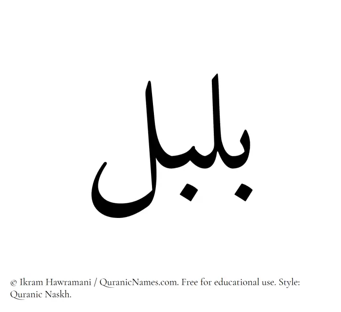 The name Bulbul written in Quranic naskh