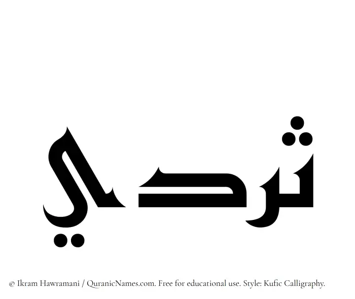 The name Sardee written in Kufi/Kufic