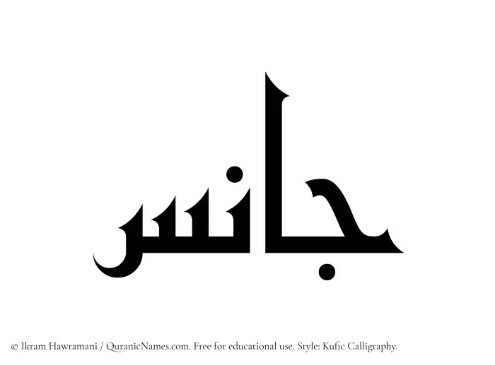 The name Janis written in Kufi/Kufic