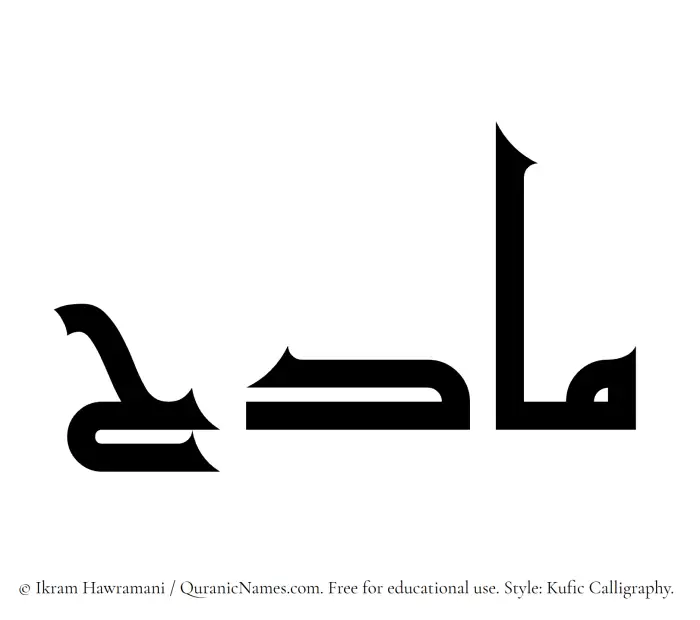 The name Madih written in Kufi/Kufic