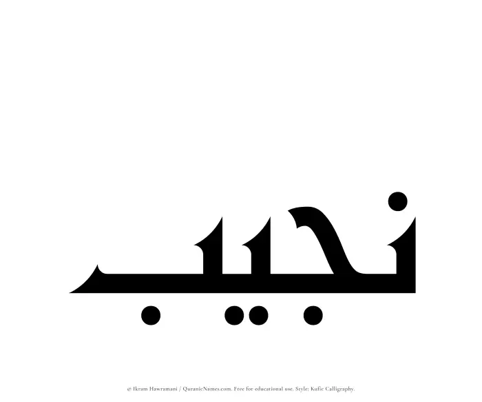 The name Najib written in Kufi/Kufic