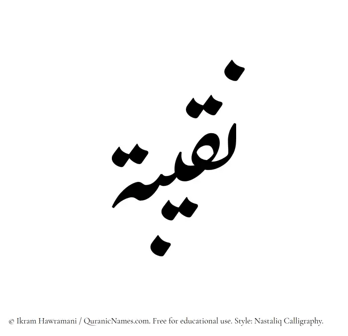 The Muslim name word Naqeeba written in Nastaliq