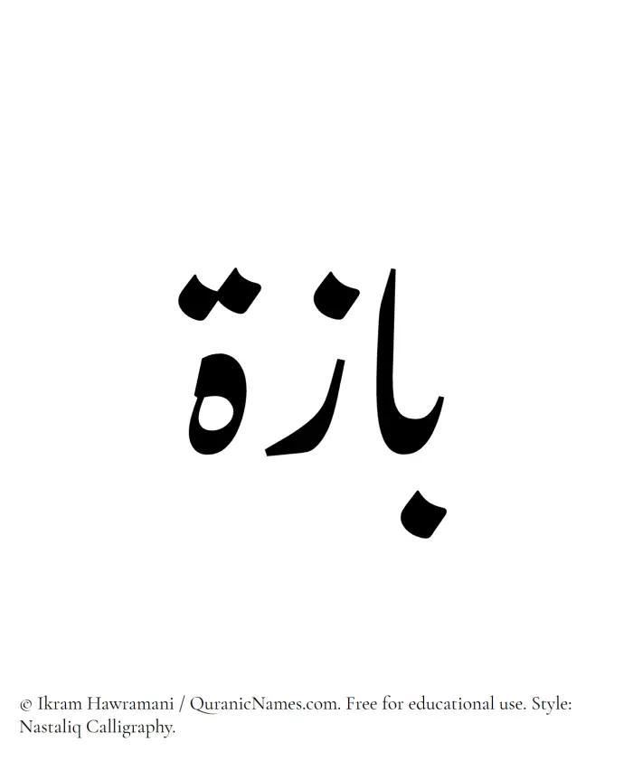 The Muslim name word Baza written in Nastaliq