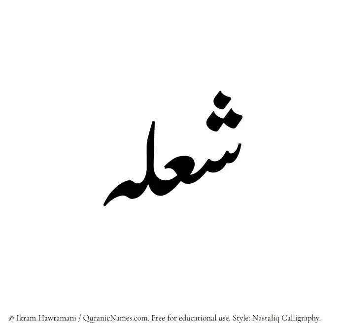 The Muslim name word Shoulah written in Nastaliq