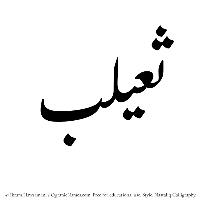 The Muslim name word Thuailib written in Nastaliq