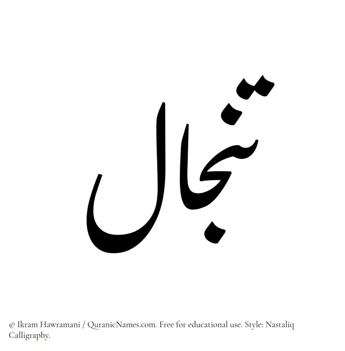 The Muslim name word Tinjal written in Nastaliq
