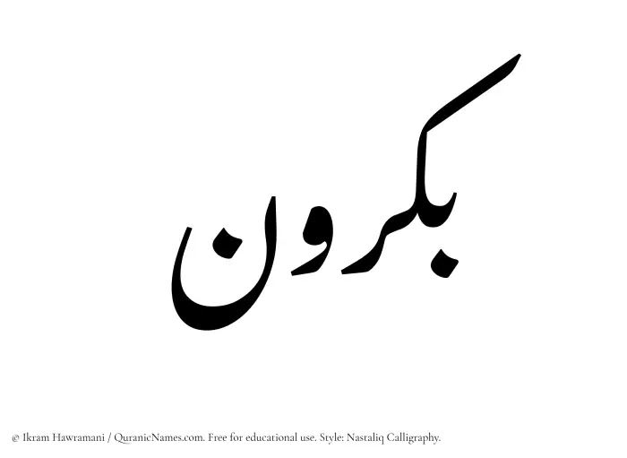 The Muslim name word Bakrun written in Nastaliq