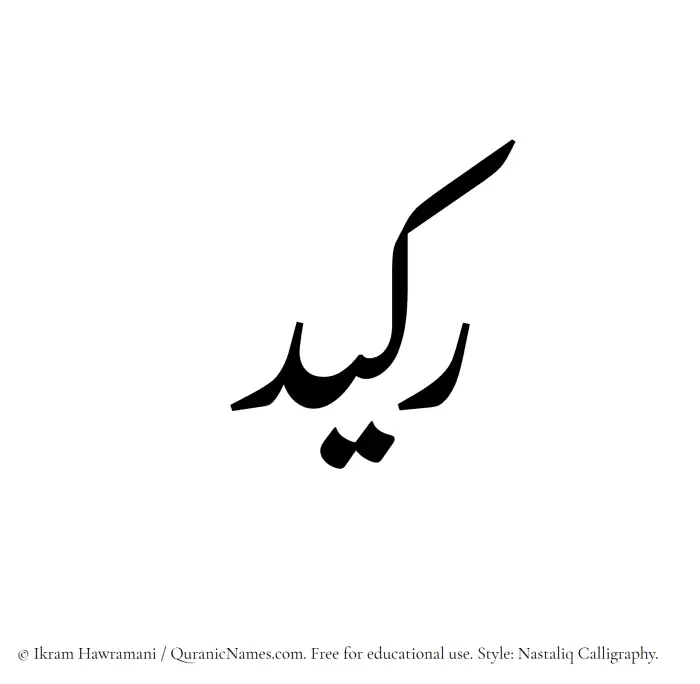 The Muslim name word Rakeed written in Nastaliq