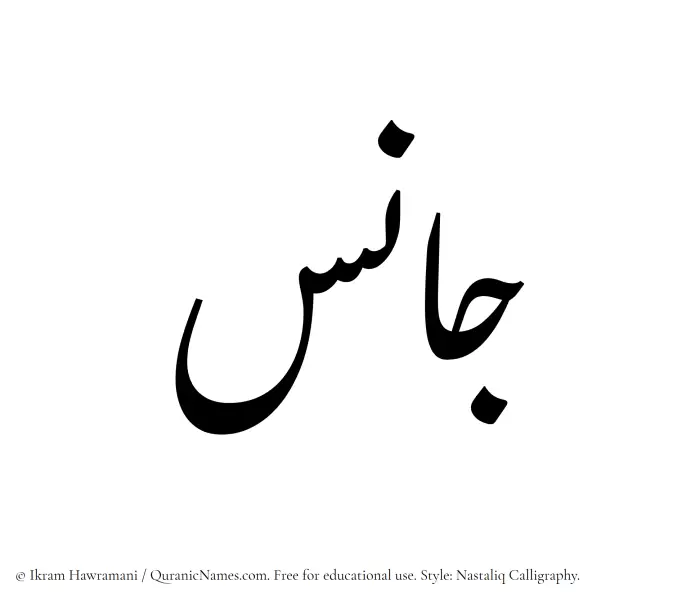 The Muslim name word Janis written in Nastaliq
