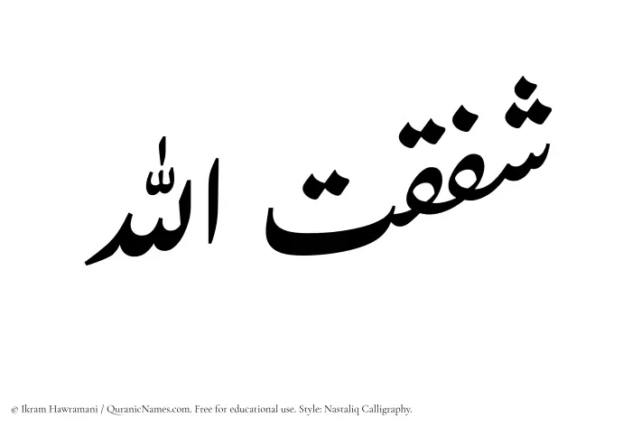 The Muslim name word Shafaqatullah written in Nastaliq