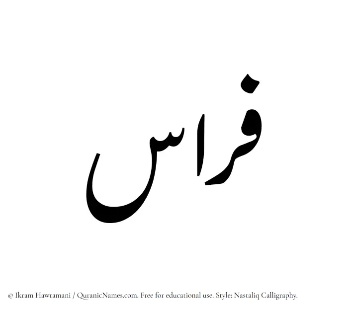 The Muslim name word Firas written in Nastaliq