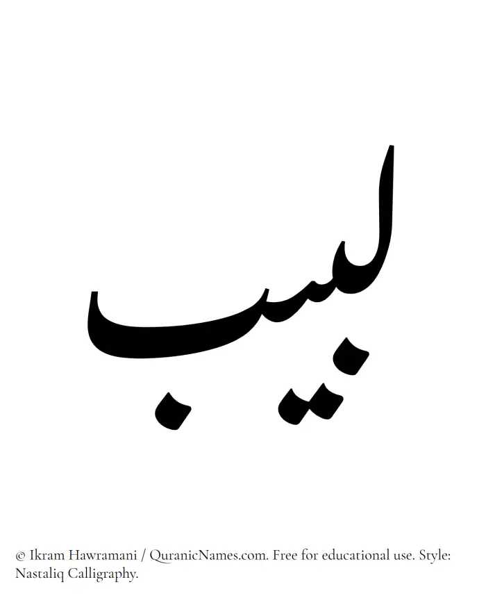 The Muslim name word Labeeb written in Nastaliq