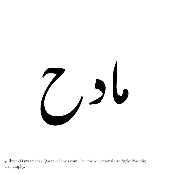 The Muslim name word Madih written in Nastaliq