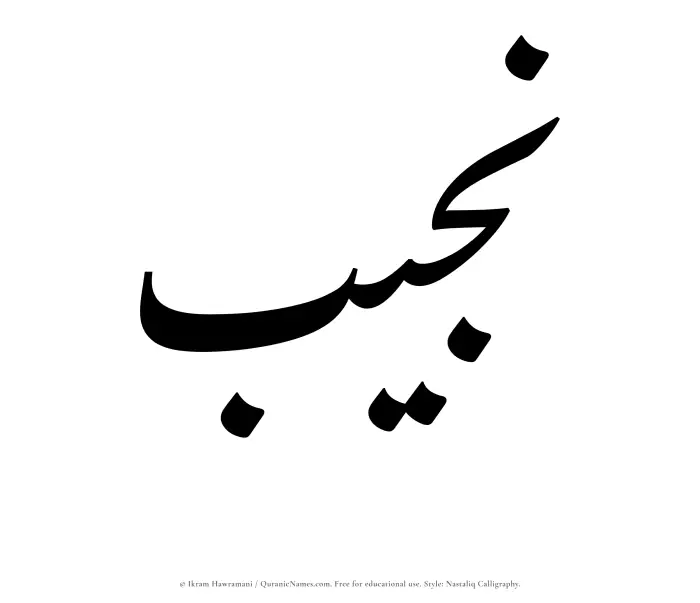 The Muslim name word Najib written in Nastaliq