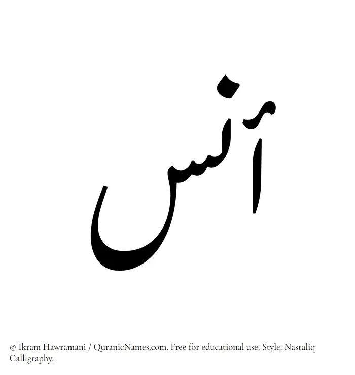The Muslim name word Anas written in Nastaliq