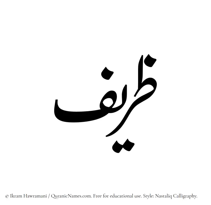 The Muslim name word Zareef written in Nastaliq
