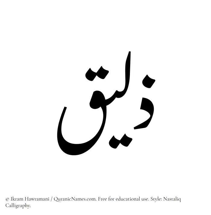 The Muslim name word Zaleeq written in Nastaliq