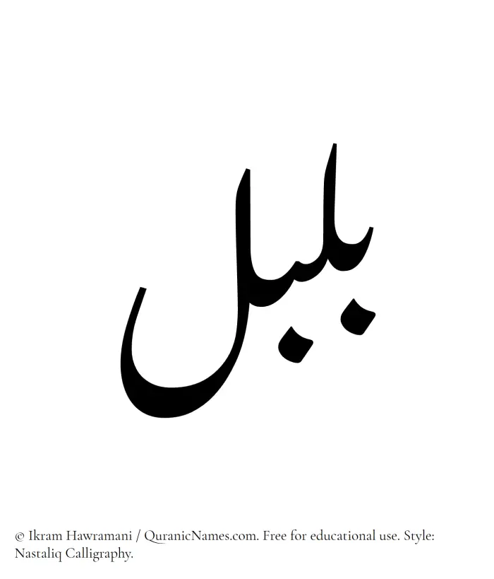The Muslim name word Bulbul written in Nastaliq
