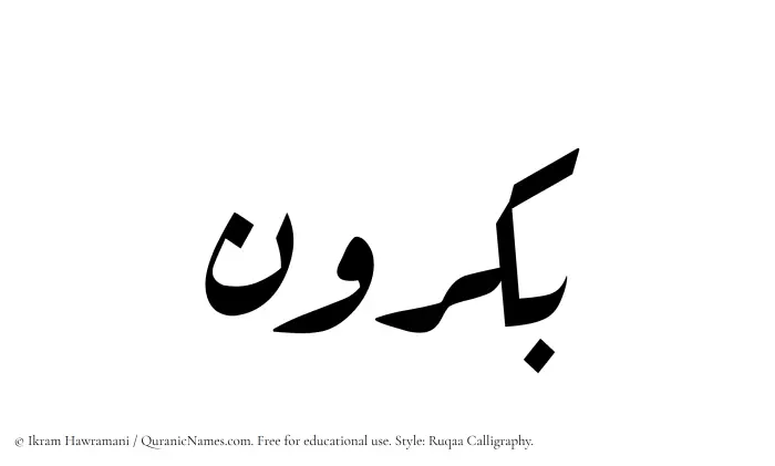 The name Bakrun written in Ruqaa