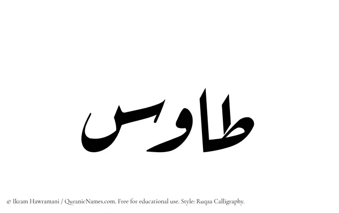 The name Tawus written in Ruqaa