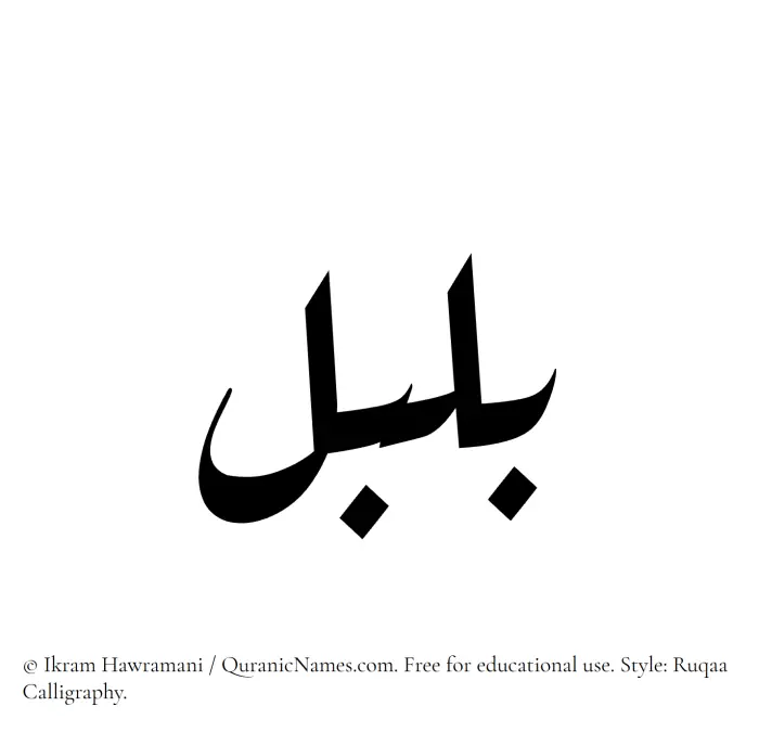 The name Bulbul written in Ruqaa